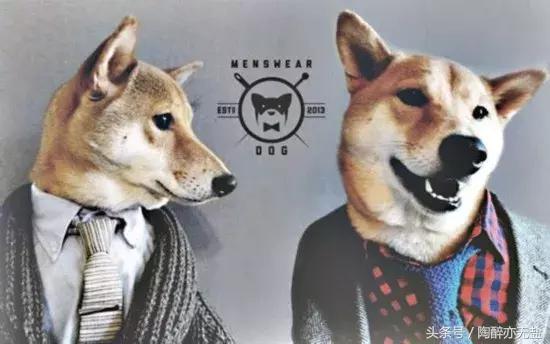 狗年新时尚，国际大牌为迎合中国市场，都出了些什么看不懂的时尚