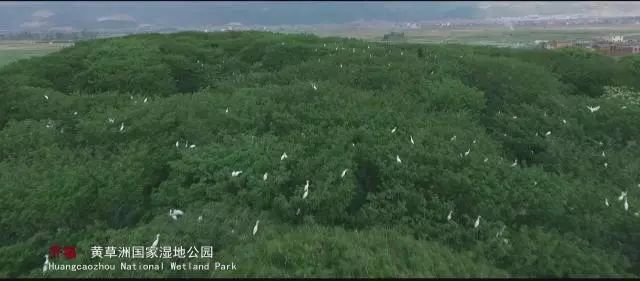 泸西游玩推荐,泸西旅游攻略必去景点推荐