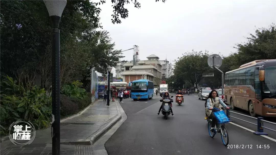 2020桂林訾洲公园郁金香盛开,桂林訾洲公园郁金香花期