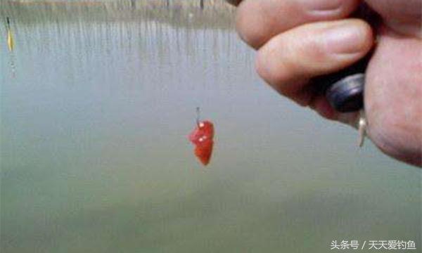 野河钓鲶鱼的方法与技巧,野钓鲶鱼技巧及方法