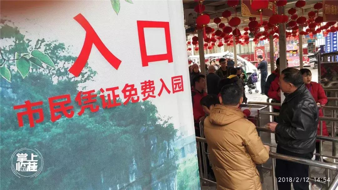 2020桂林訾洲公园郁金香盛开,桂林訾洲公园郁金香花期