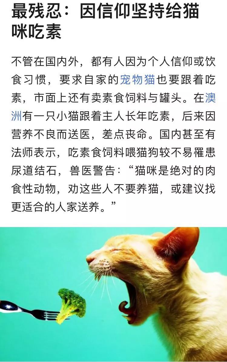 如果你是个素食主义者，那么养的猫也一定要吃素吗？