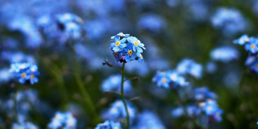 一旦不爱就会立刻消失的星座,一旦离开就会断得彻底的星座
