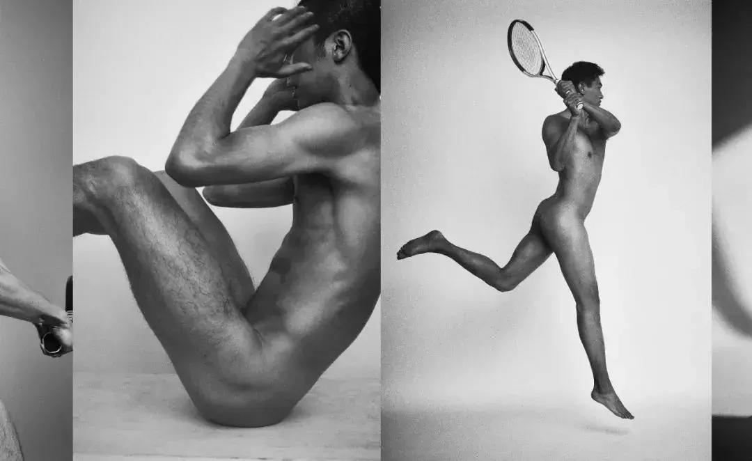 两个黄鹂鸣翠柳一行白鹭来捣乱,两个黄鹂鸣翠柳原版视频