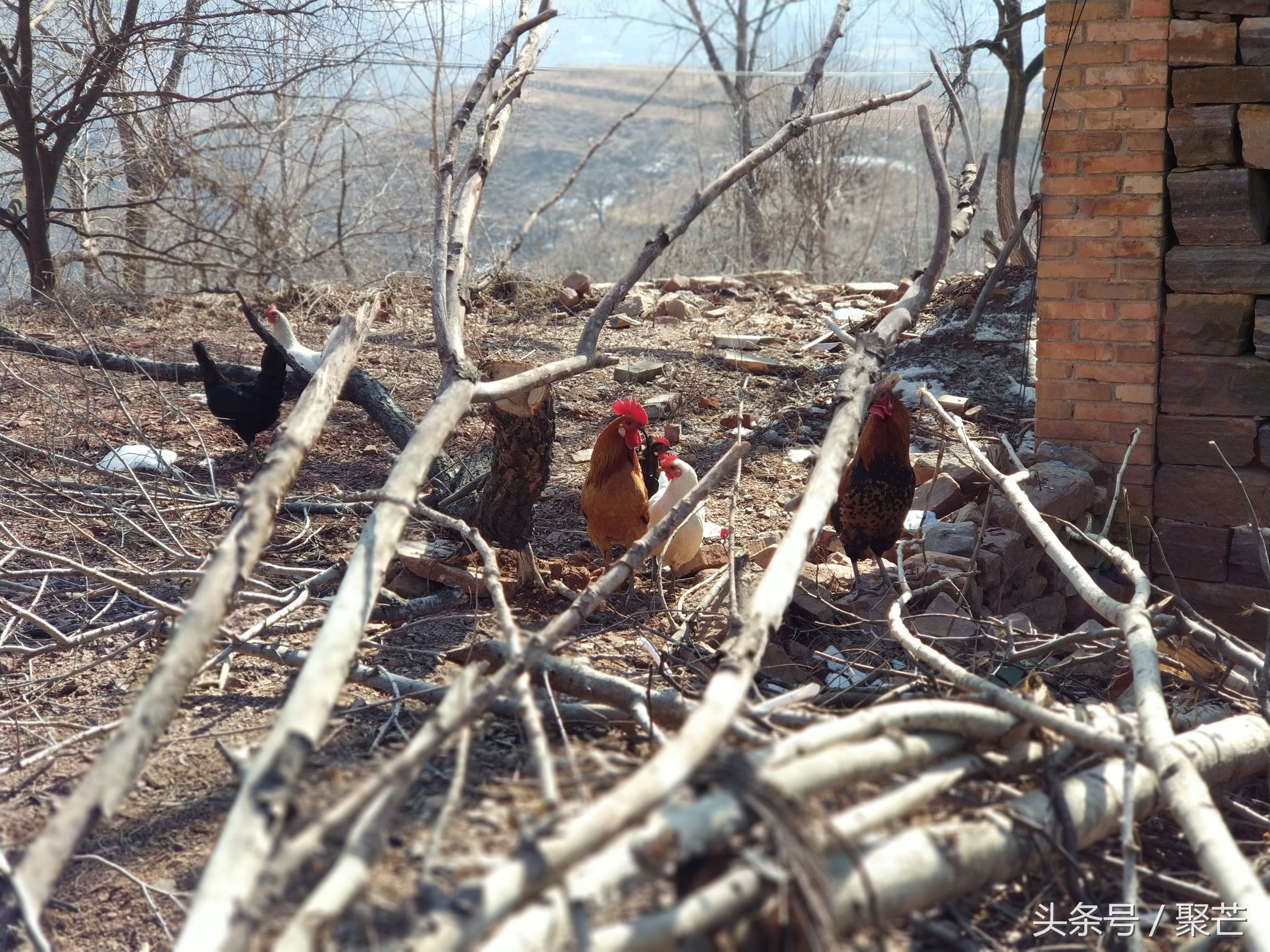河南石头村自驾游攻略,自驾旅游小住环境好的村落