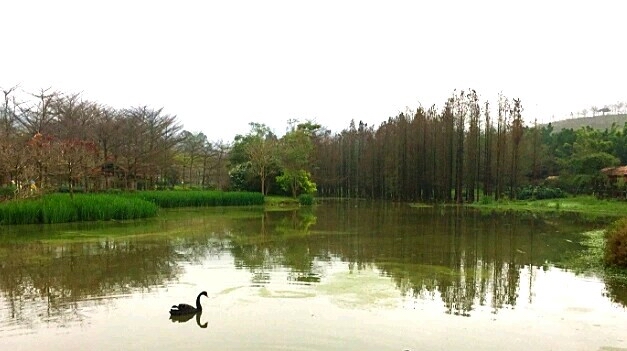 广州佛冈森波拉一日游,佛冈森波拉两日游