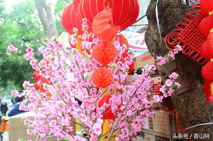 珠海闹市中破破烂烂的老街，有我儿时过年的味道