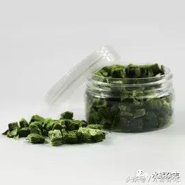 养红箭的技巧,快来测一测你未来会养什么宠物