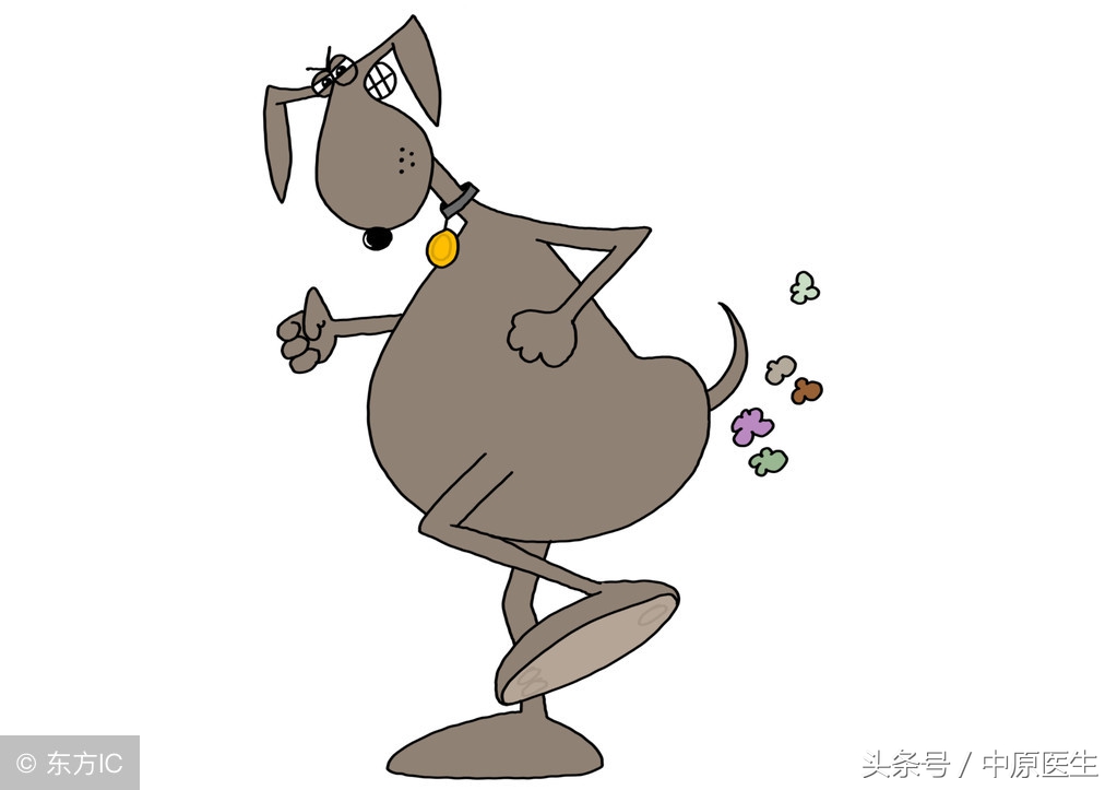 美国男子飞机上放屁闹事遭驱逐,坐飞机放屁的危害