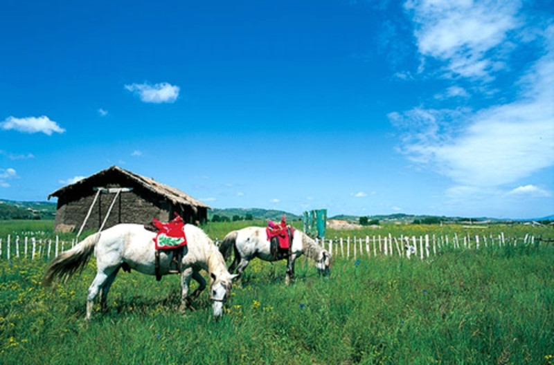 浜旀湀鐜╄浆鎵垮痉,鐜╄浆鎵垮痉蹇呯煡鏀荤暐