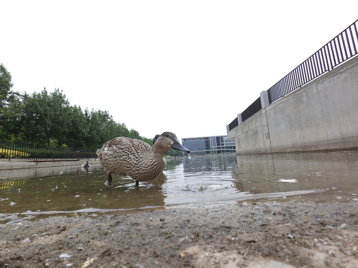 卡西欧exfr100摄像头,卡西欧fr100和fr100l的区别