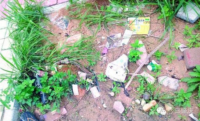 北岭山森林公园门前路段没有垃圾桶游客手中垃圾丢哪好？