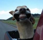 qantas澳洲航空安全吗,qantas是哪个航空公司