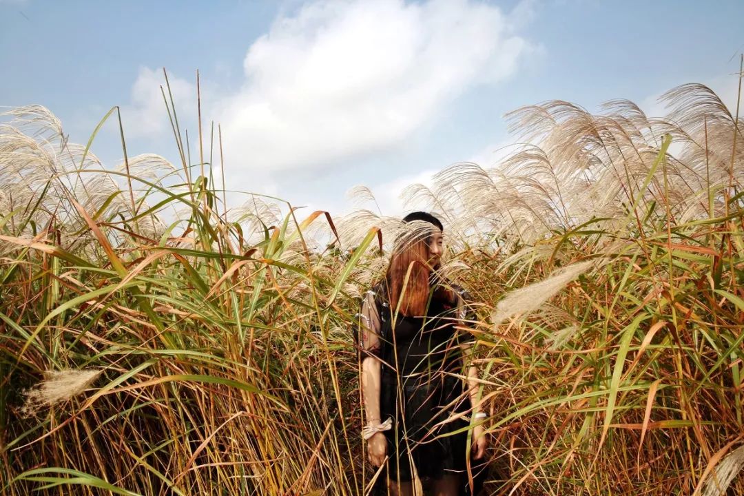土著带你玩大连开发区,土著带你玩上海