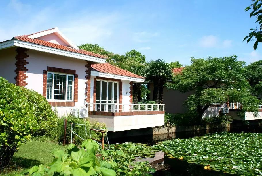 土著带你玩大连开发区,土著带你玩上海