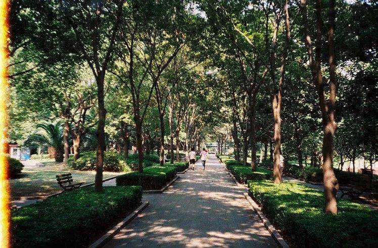 土著带你玩大连开发区,土著带你玩上海