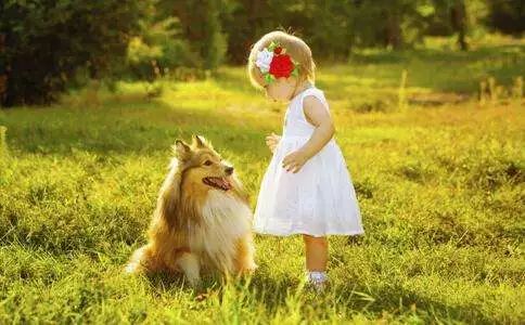 被宠物抓伤咬伤后怎么处理,被宠物抓伤或咬伤该怎么办