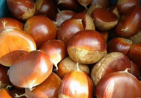 广西特产回家必买清单,广西南宁特产有哪些方便带回家