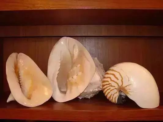 广西特产回家必买清单,广西南宁特产有哪些方便带回家