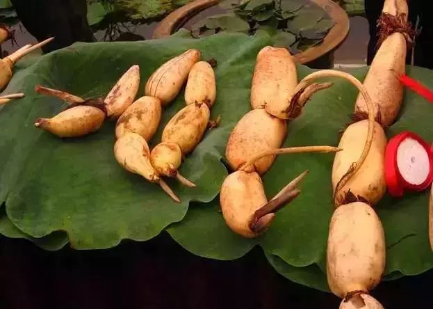 广西特产回家必买清单,广西南宁特产有哪些方便带回家