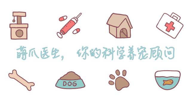 盘点那些怕水的猫咪,盘点那些不怕水的猫咪