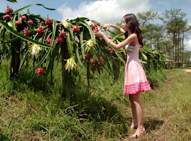 黔南旅游攻略自由行攻略,黔南5条精品旅游线路