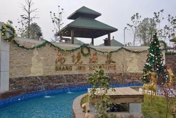 只今惟有西江月全诗,只今惟有