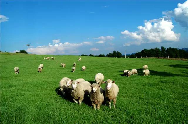 黔南旅游攻略自由行攻略,黔南5条精品旅游线路