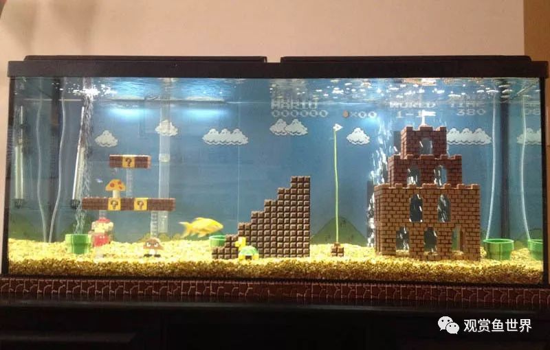 鱼跳出鱼缸的迷信说法,鱼经常跳出鱼缸是怎么回事