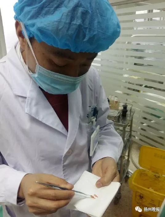 6岁小孩长双排牙齿需要拔吗,宝宝换牙期长出双排牙需要拔掉吗