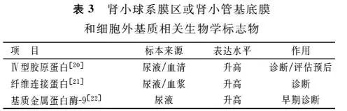 糖尿病肾病的最新研究进展ppt,糖尿病肾病的发病机制研究进展