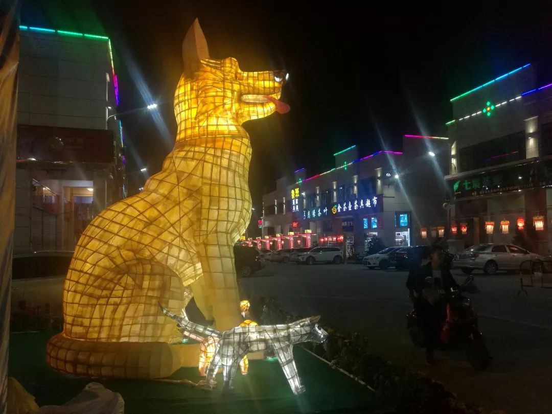 鑿犺悵宀姳鐏睍瑙堟椂闂磋〃,2020骞村崡瀹佽彔钀濆箔鑺辩伅