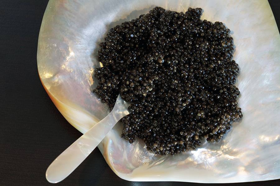 顶级鱼子酱是什么鱼产出来的,世界顶级鱼子酱到底是什么滋味