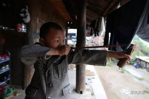 过去，淳安人每年到了这个时候最烦的就是Ta