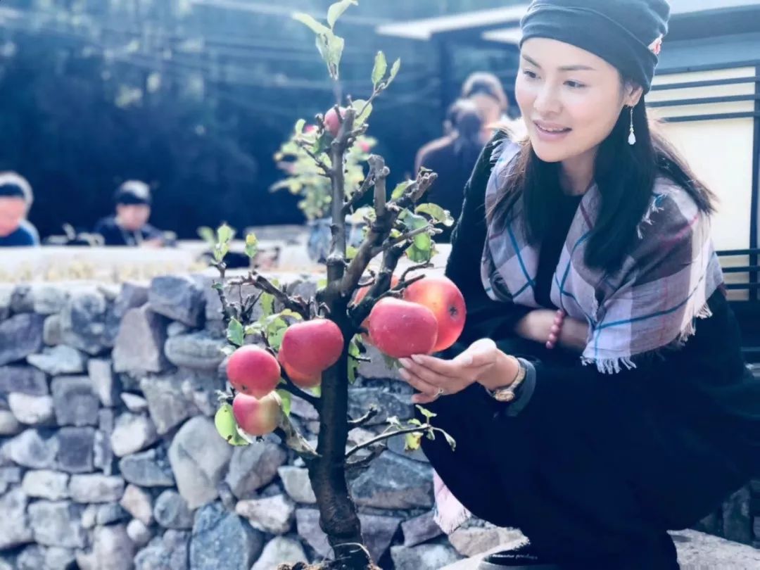 旅行胜地最美民宿,宁波龙观禅那艺术民宿优惠团购