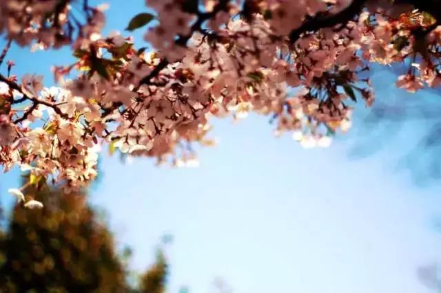 我有一座美丽的海岛,我有一座海岛免费下载