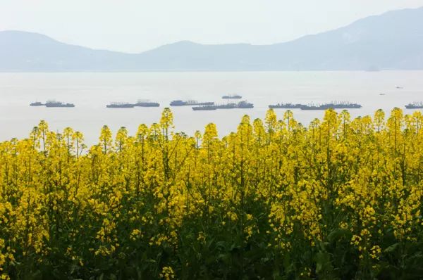 我有一座美丽的海岛,我有一座海岛免费下载