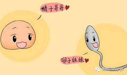 怀孕后白带如果出现这些现象，请一定要上心！