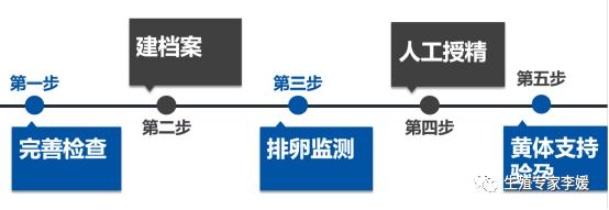 绵羊人工授精操作流程,人工授精流程要促排吗