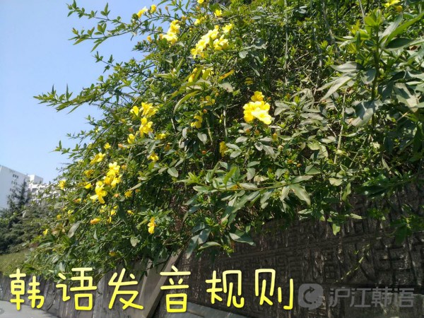 零基础学韩语韩语发音第2课,韩语的发音规则和方法