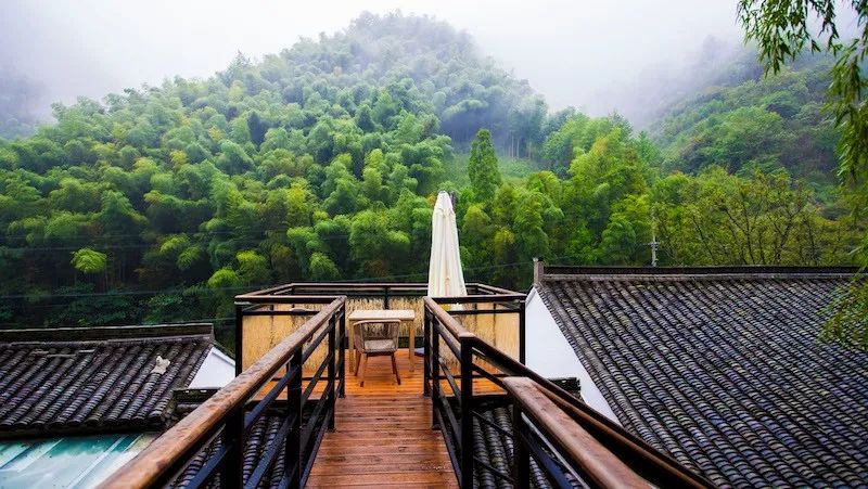 旅行胜地最美民宿,宁波龙观禅那艺术民宿优惠团购