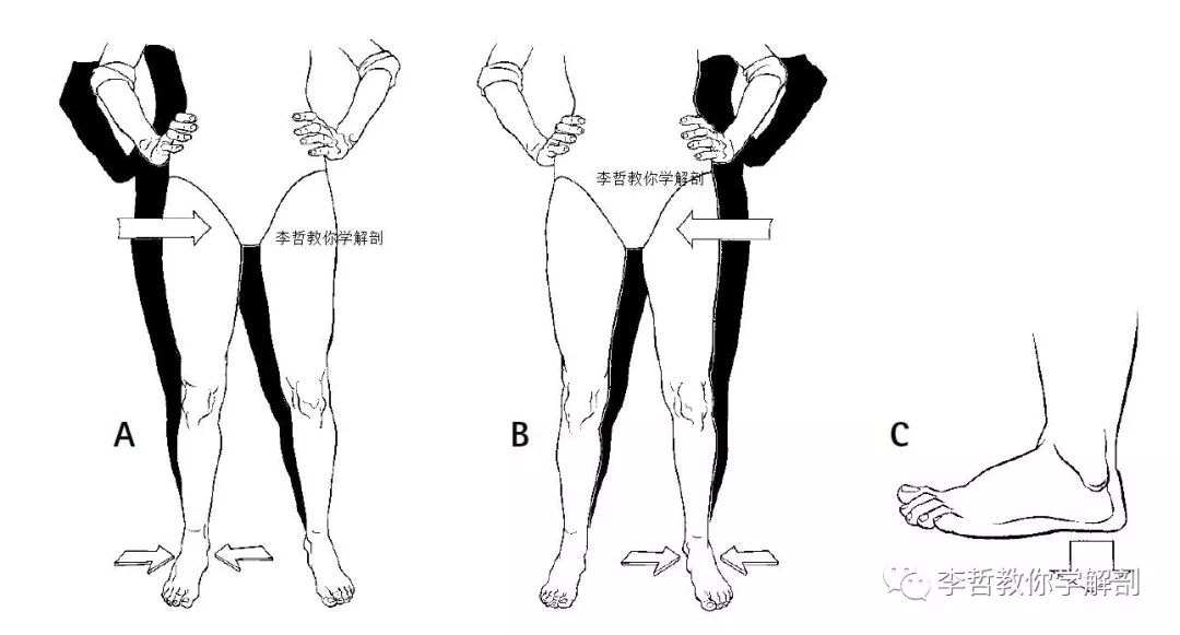 这个神奇的练习看似简单，能做到位的不多，为您解决孕期和产后骨盆疼痛又一招