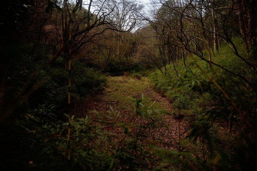 穿越小雷公坪,小雷公实战视频