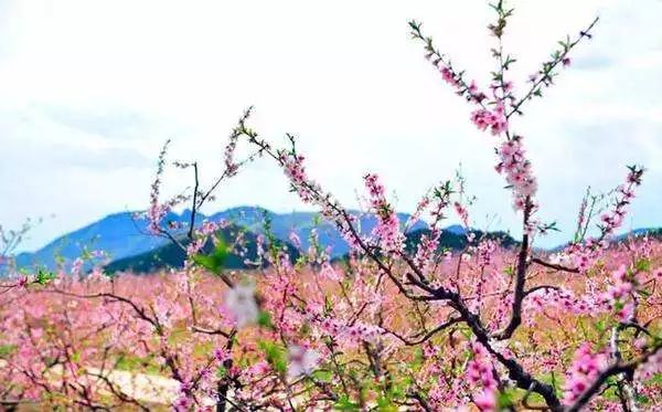 我有一座美丽的海岛,我有一座海岛免费下载