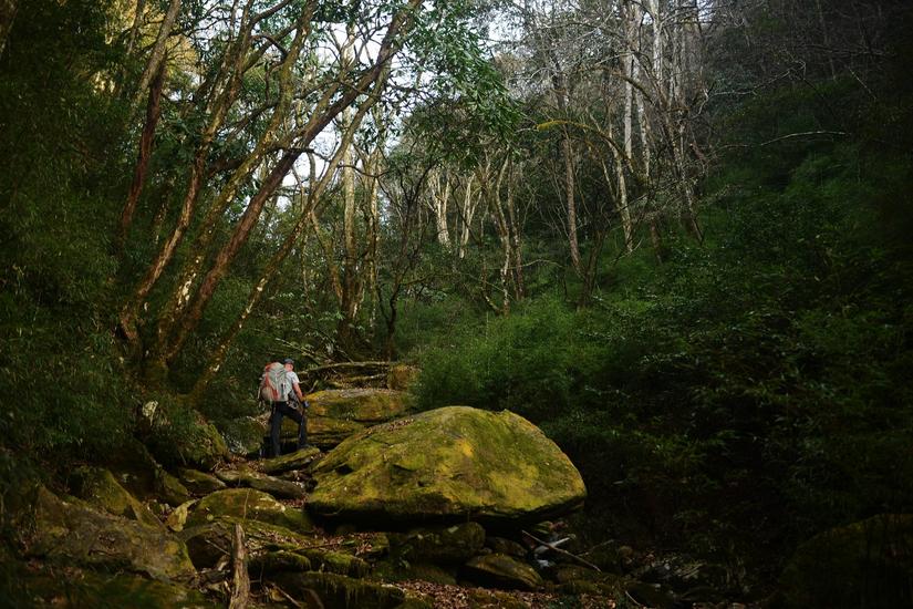 穿越小雷公坪,小雷公实战视频