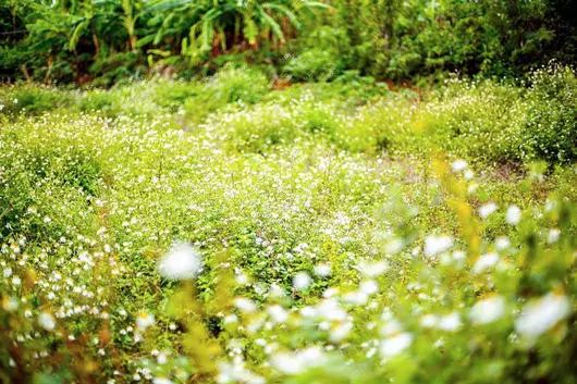 我有一座美丽的海岛,我有一座海岛免费下载