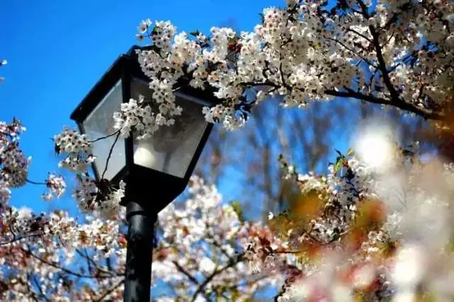 我有一座美丽的海岛,我有一座海岛免费下载