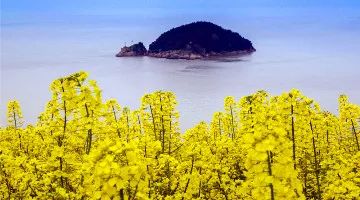 我有一座美丽的海岛,我有一座海岛免费下载