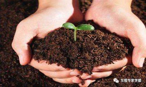 内膜问题造成不孕,内膜炎导致不孕怎么治疗