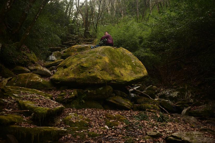 穿越小雷公坪,小雷公实战视频